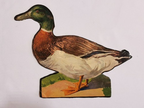 Canard - Découpi ancien